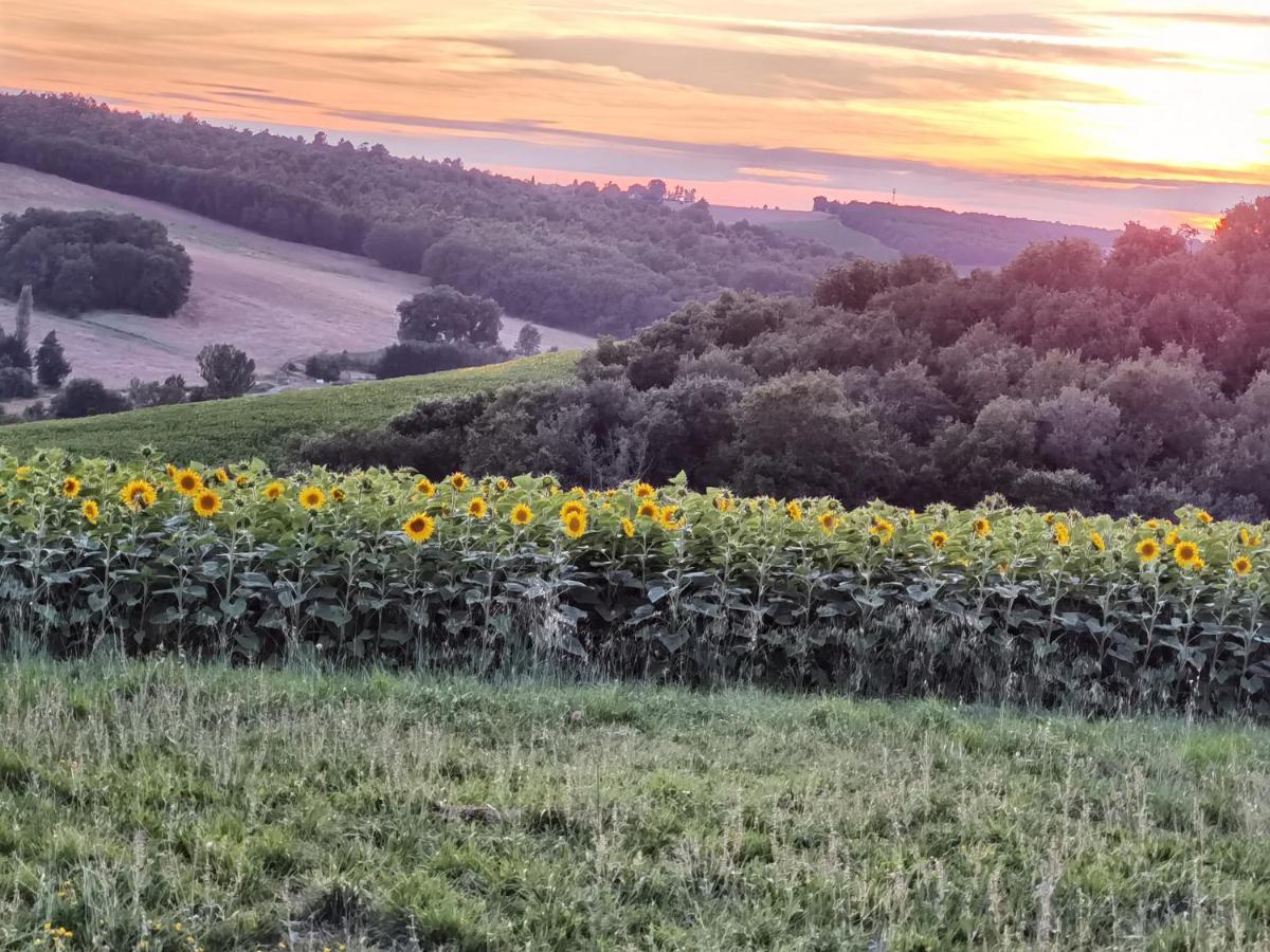 Les Hauts De Grazac, Chambres Et Tables D'Hotes Grazac  Bagian luar foto