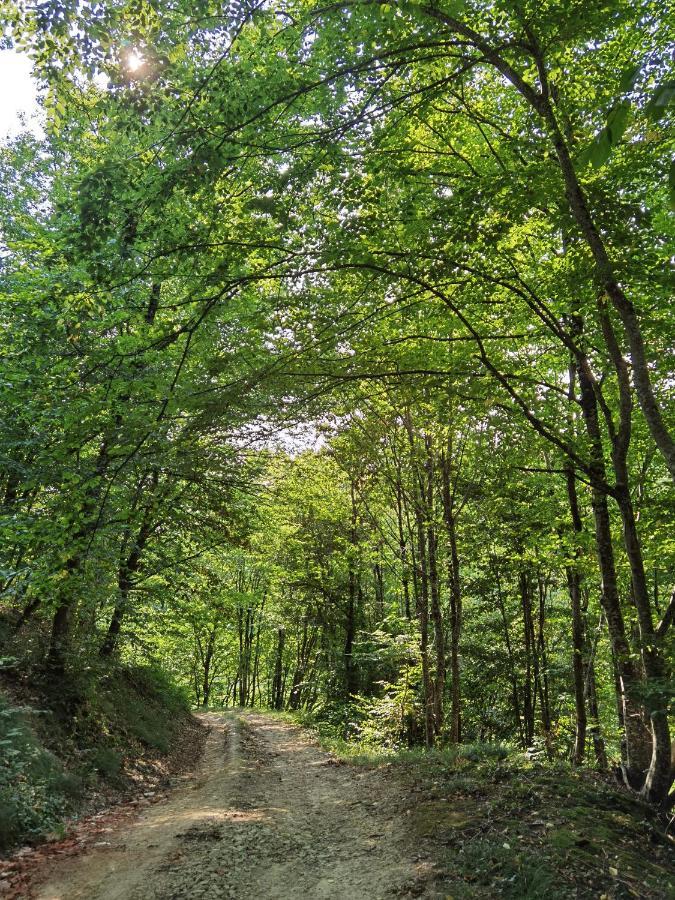 Les Hauts De Grazac, Chambres Et Tables D'Hotes Grazac  Bagian luar foto